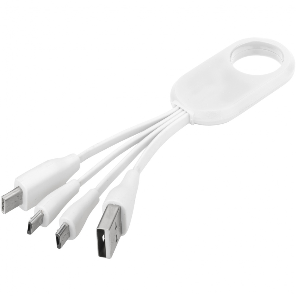 Logo trade promotional gifts picture of: Troup 4-in-1 charging cable with type-C tip