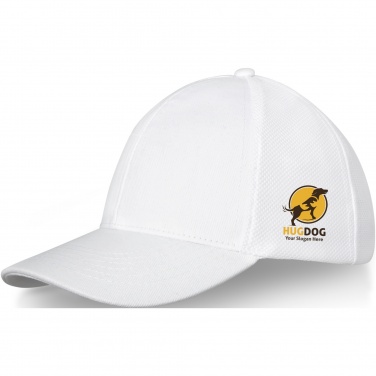 Logo trade business gift photo of: Drake 6 panel trucker cap