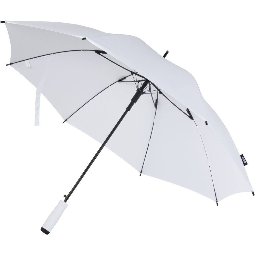 Logotrade promotional merchandise image of: Niel 23" auto open recycled PET umbrella