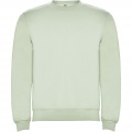 Clasica unisex crewneck sweater, Mist Green