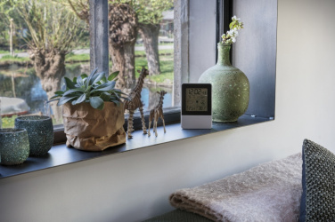 Logotrade promotional item picture of: Indoor/outdoor weather station