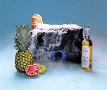 Logotrade promotional giveaway image of: Party speaker cooler bag