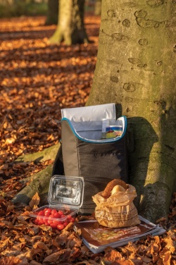 Logo trade promotional merchandise picture of: Explorer outdoor cooler backpack