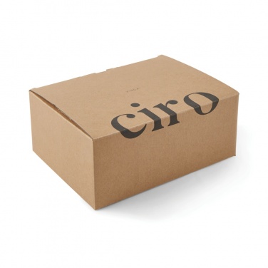 Logotrade promotional product image of: VINGA Ciro RCS recycled steel lunch box