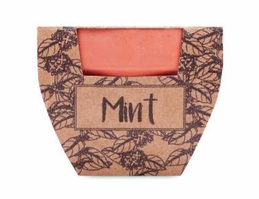 Logo trade promotional merchandise photo of: Terracotta pot mint seeds