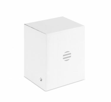 Logo trade business gifts image of: 1080P HD webcam and ring light