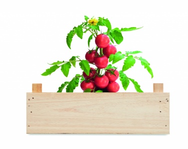 Logotrade promotional giveaways photo of: Tomato kit in wooden crate
