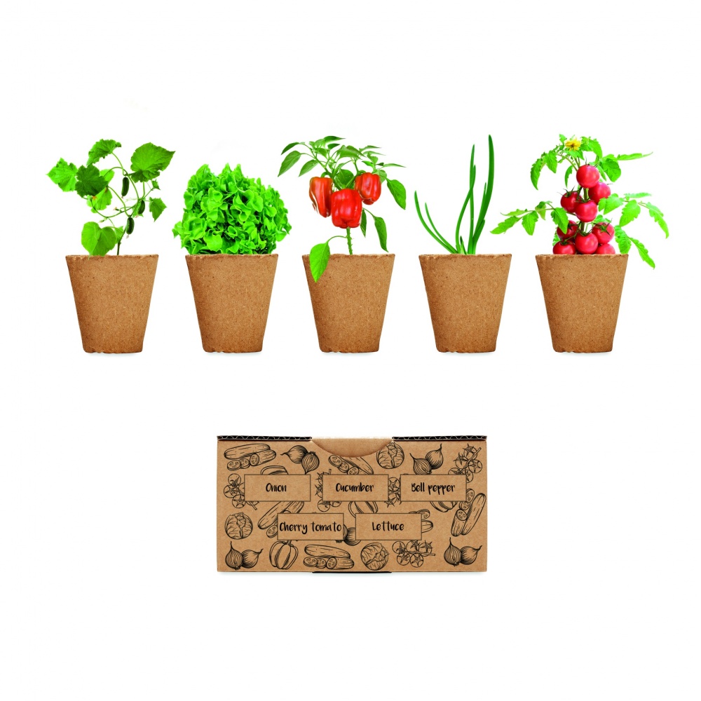 Logotrade promotional gift image of: Salad growing kit