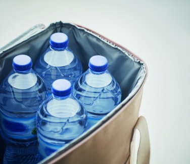 Logo trade promotional giveaway photo of: Large cooler bag canvas 450gr/m