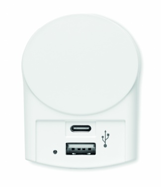 Logotrade promotional merchandise picture of: Skross Euro USB Charger (AC)