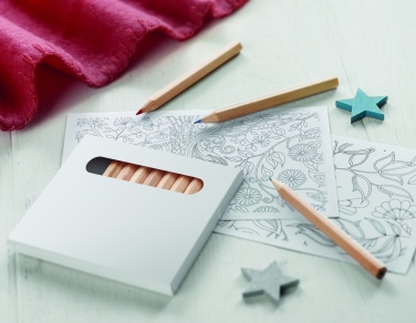 Logotrade promotional merchandise photo of: Drawing adult set