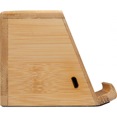 Logo trade promotional gifts image of: Induction loudspeaker NUREMBERG