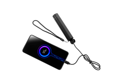 Logotrade promotional giveaway picture of: Flashflight ZAGROS Schwarzwolf