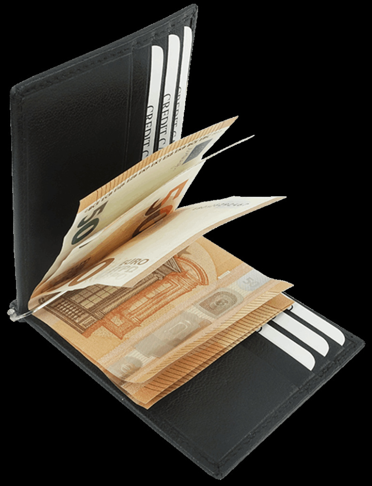 Logo trade promotional products image of: Wallet 38005200