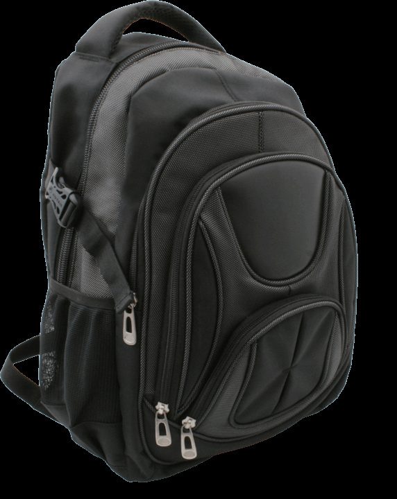 Logotrade promotional giveaways photo of: Laptop backpack 69903400