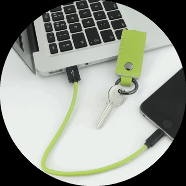 Logo trade promotional merchandise photo of: Keyring 59612900