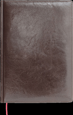 Logotrade promotional merchandise picture of: Calendar 642131