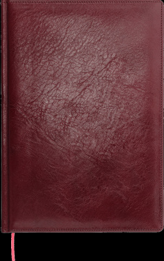 Logotrade advertising product picture of: Calendar 642131