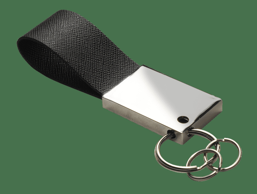 Logo trade promotional gifts picture of: Keyring 909113