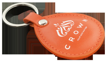 Logo trade promotional product photo of: Keyring 573131