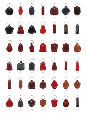 Logo trade promotional merchandise picture of: Keyring 178011