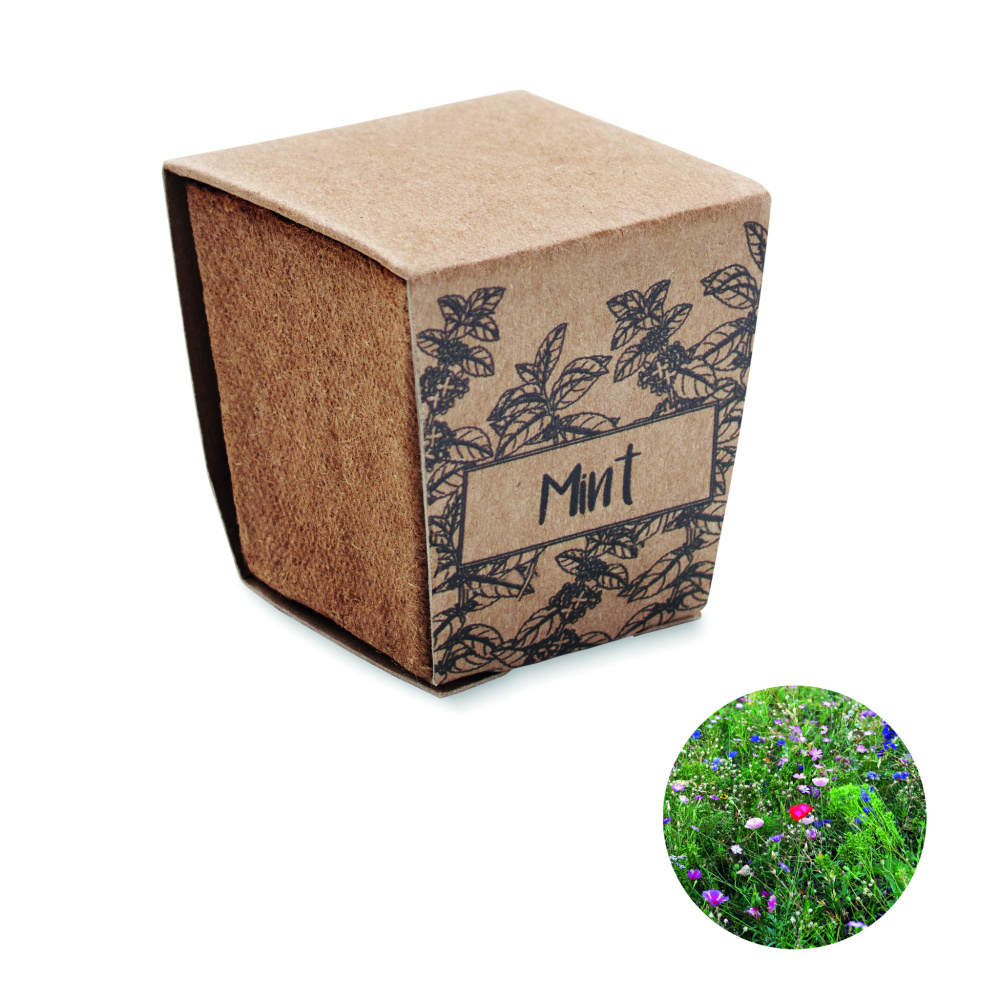 Logotrade promotional item picture of: Mint seeds growing kit