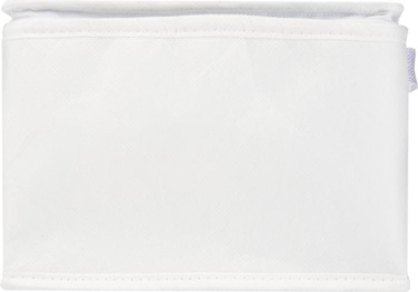 Logotrade promotional giveaway image of: Spectrum 6-can recycled non-woven cooler bag 4L