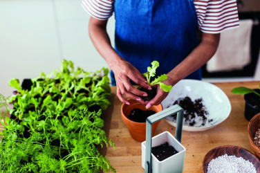 Logo trade business gifts image of: Indoor garden with LED light