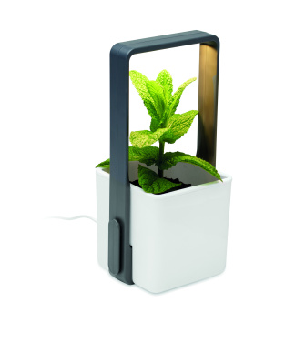 Logotrade promotional merchandise photo of: Indoor garden with LED light