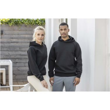 Logo trade promotional giveaway photo of: Danali unisex interlock sports hoodie