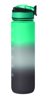 Logotrade promotional giveaway picture of: Sports water bottle RPET 1L