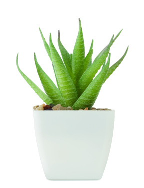 Logotrade advertising products photo of: Mini artificial plant