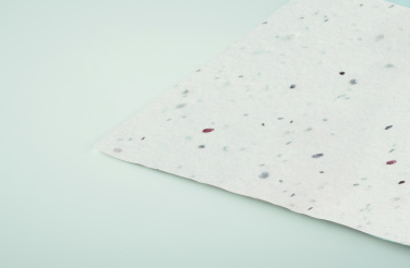 Logotrade corporate gift picture of: Wildflower seed business card.