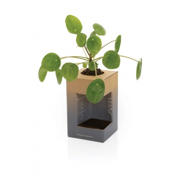 Logotrade firmakingid pilt: Avira Alya RCS Re-steel termostops 300 ml