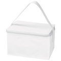 Külmakott 6 x 0,33 l ASPEN, valge
