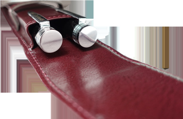 Logotrade reklaamkingitused pilt: Pastapliiatsi vutlar 236019