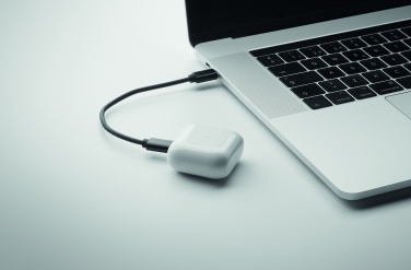 Logotrade firmakingituse foto: CAWATT 4 in 1 kaabli pistikute komplekt 15W