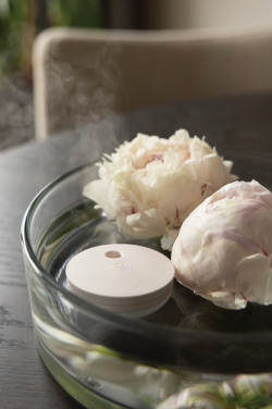 Logotrade ärikingituse foto: Breevia RCS plastikust laetav ujuv õhuniisutaja