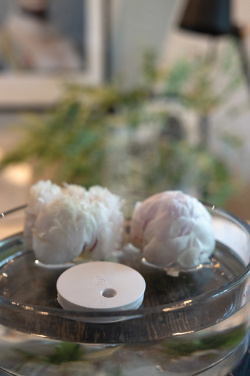 Logo trade mainoslahja kuva: Breevia RCS rplasic ladattava kelluva ilmankostutin