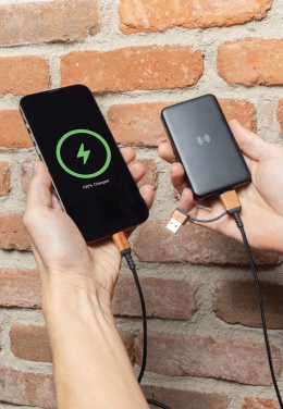 Logotrade kampanjprodukter bild: Ohio 6-i-1 kabel i RCS certifierad återvunnen plast